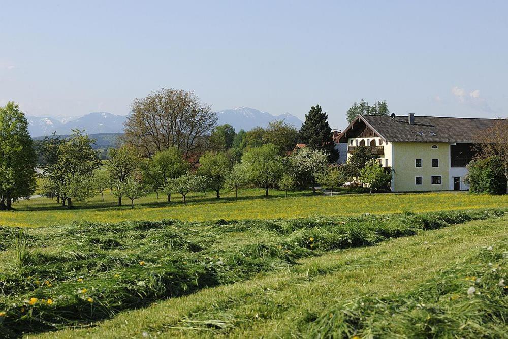 HöslwangKoellhof公寓 外观 照片